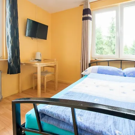 Noclegi Pod Lasem Solina 20 Exterior photo
